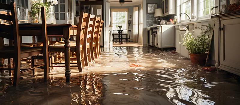 Flooded House Help Near Me in Strathcona, Hamilton