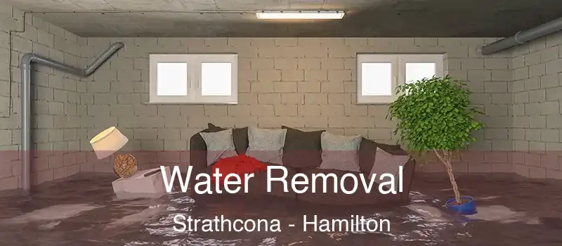 Water Removal Strathcona - Hamilton